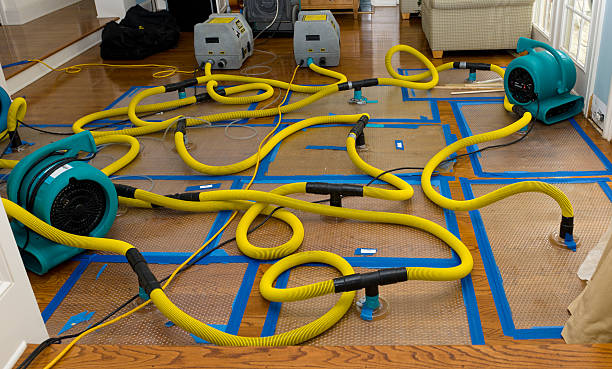 Professional Basement Flood Cleanup technician working in South Ozone Park, NY